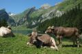 Reisetipp Seealpsee