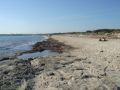 Reisetipp Ses Covetes