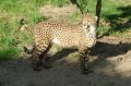 Reisetipp Zoo d&#039;Amnéville
