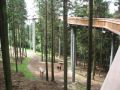 Reisetipp Waldwipfelweg St Englmar/Maibrunn