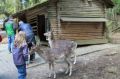Reisetipp Wildgehege und Ausflugspark am Steinbruchsee