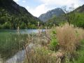 Reisetipp Thumsee