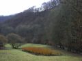 Reisetipp Moselhöhenweg