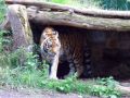 Reisetipp Zoo Aschersleben