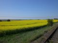 Reisetipp Draisine Dargun
