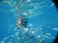 Reisetipp Schnorcheln Koh Tao &amp; Ko Nang Yuan